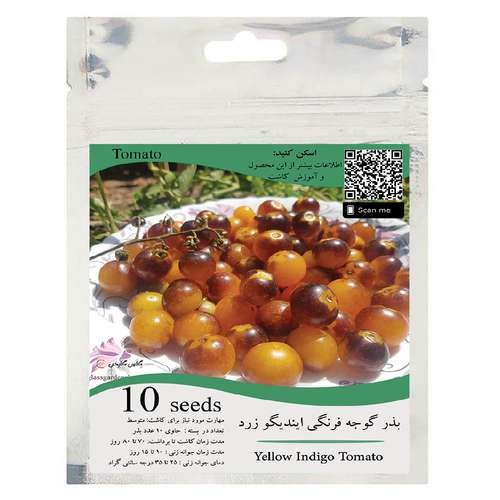 بذر گوجه فرنگی ایندیگو زرد مدل GL10