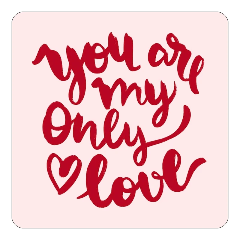 مگنت کاکتی طرح عاشقانه مدل mp41175