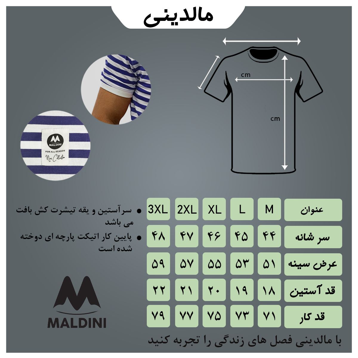 تی شرت آستین کوتاه مردانه مالدینی مدل t-454 -  - 5