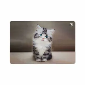 MAHOOT Cat-2 Cover Sticker for Samsung Galaxy Tab S5e 10.5 2019 T725