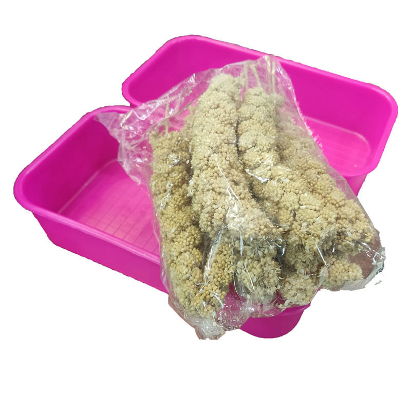 غذای پرنده مدل ارزن خوشه ای بسته 12 عددی