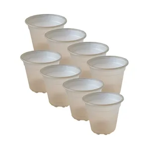 گلدان مدل  ارکیده G.O.sh-148 بسته 8 عددی