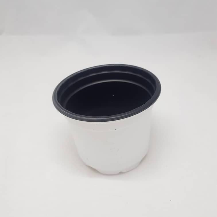 گلدان مدل ژله ای