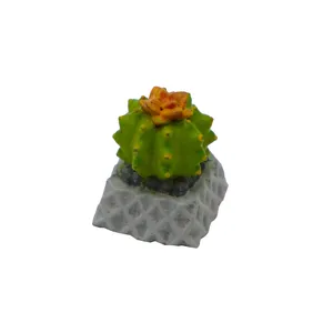 دکمه کیبورد مدل کاکتوس