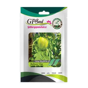 بذر گل بادکنکی بالارونده گلبرگ پامچال کد GPF-346