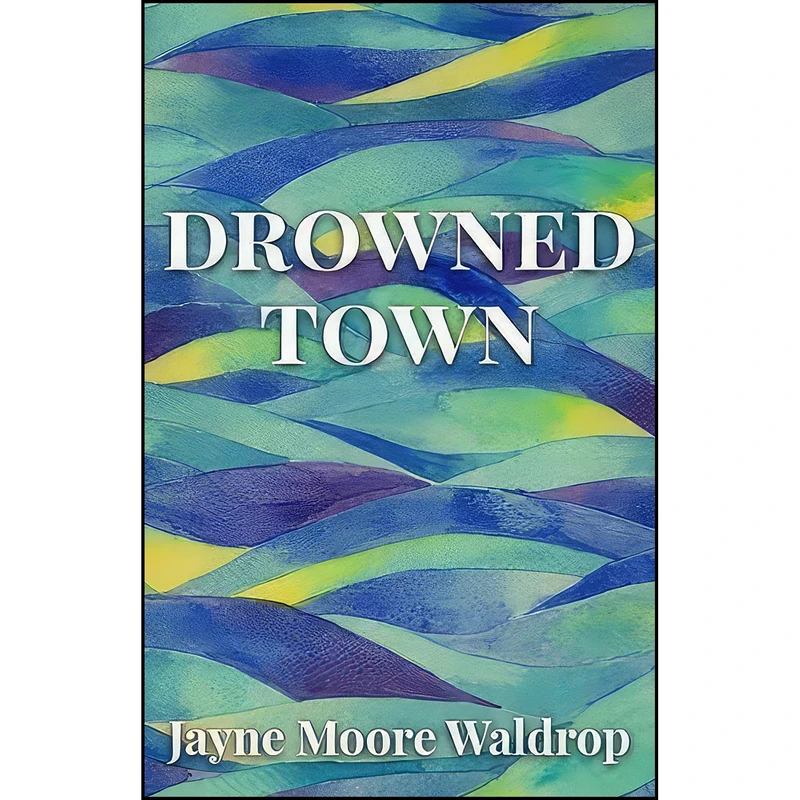 کتاب Drowned Town اثر Jayne Moore Waldrop انتشارات تازه ها
