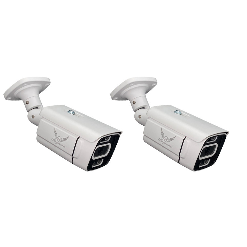 دوربین مداربسته AHD رایمون مدل 2 مگاپیکسل کد 8302 بسته دو عددی