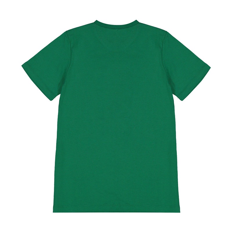 تی شرت آستین کوتاه پسرانه مدل 78-ZIBA-9874 -  - 3