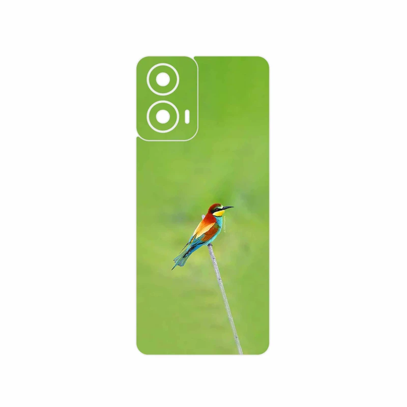 برچسب پوششی ماهوت مدل European bee-eater مناسب برای گوشی موبایل موتورولا Moto G24