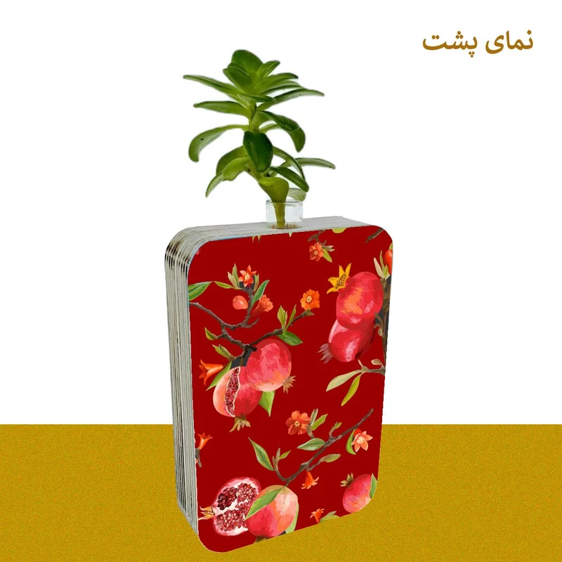 عکس شماره 3