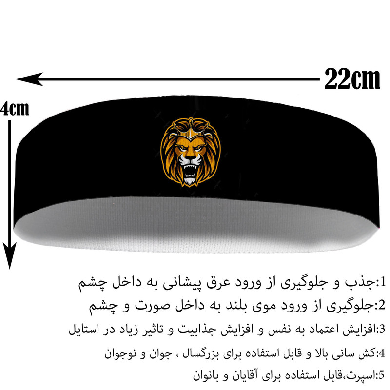 هدبند ورزشی آی تمر مدل شیر کد 413