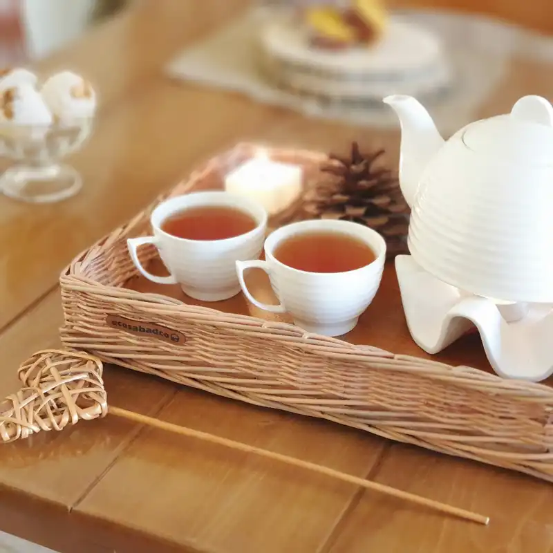 سبد حصیری اکوسبدکو مدل moas110