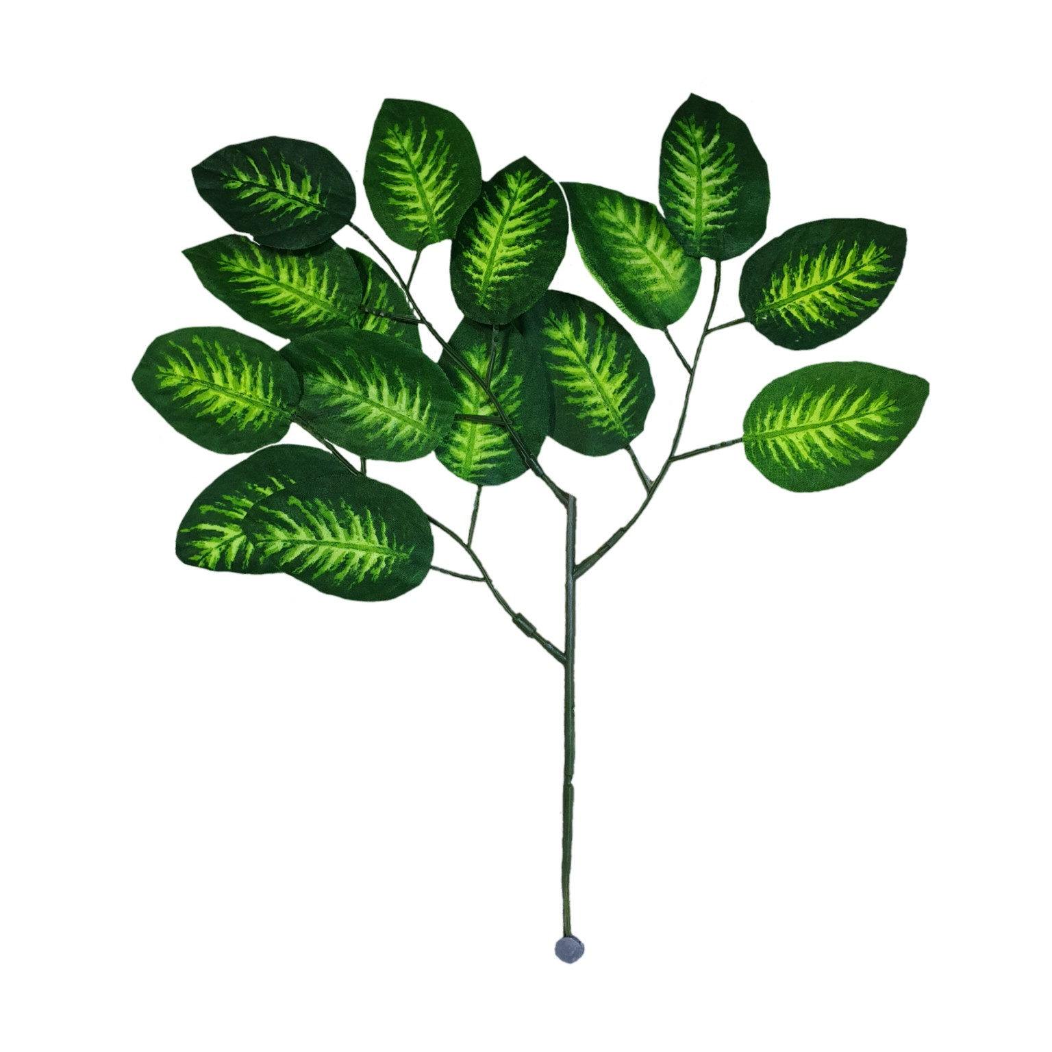 گیاه تزیینی آکواریوم مدل پیژن