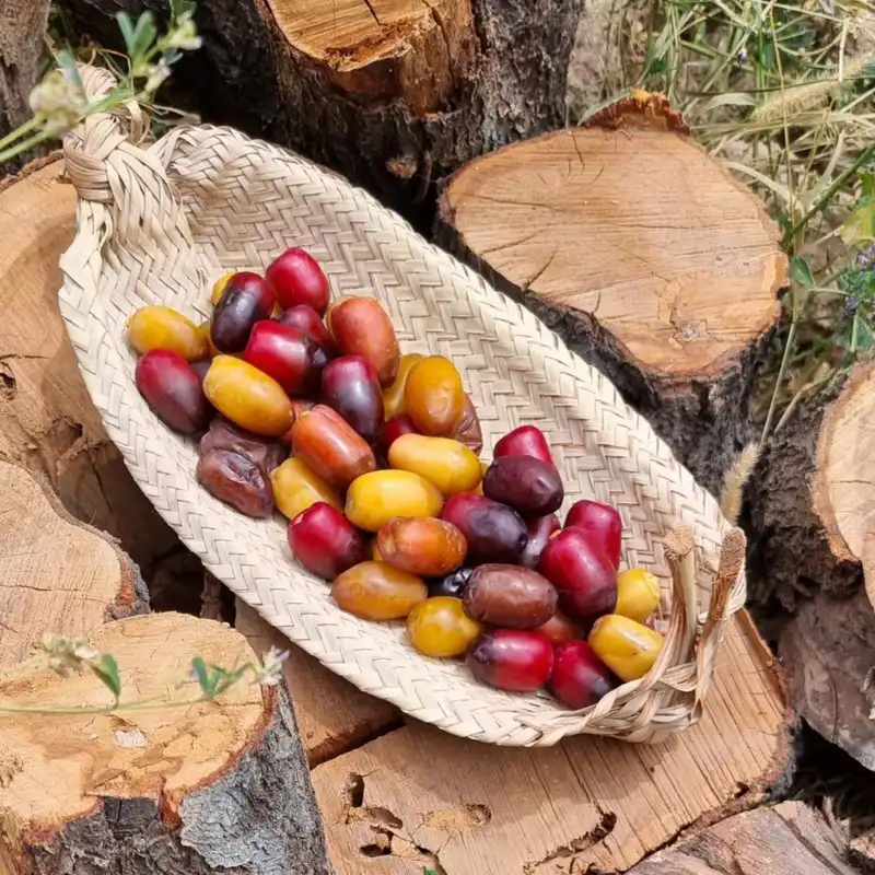 ظرف حصیری مدل قایق