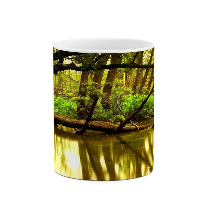 ماگ کاکتی مدل جنگل کد mgh10734