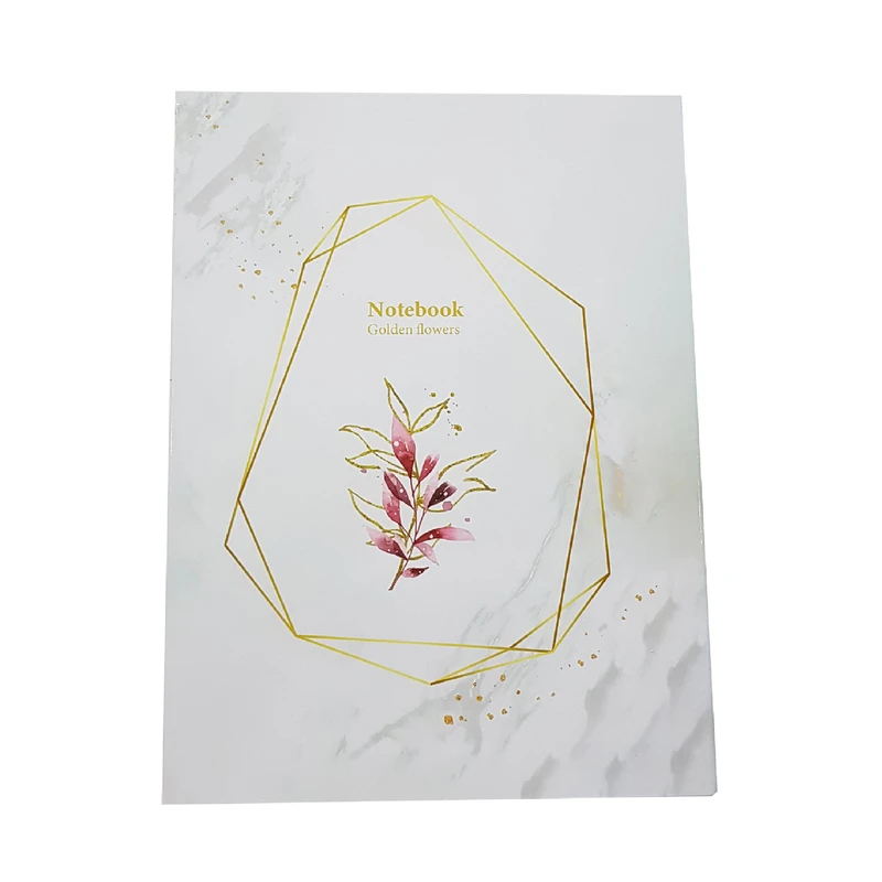 دفتر کلاسوری پاپکو مدل PN-6180 کد 118