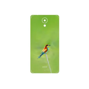MAHOOT European bee-eater Cover Sticker for Smart Art Lite
