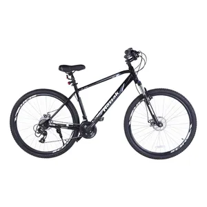 دوچرخه کوهستان آساک مدل هونان کد G-801-5292100 سایز طوقه 29 اینچ