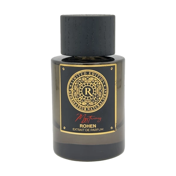 ادو پرفیوم مردانه روهن مدل میستریوس هالتان حجم ۱۰۰ میلی لیتر