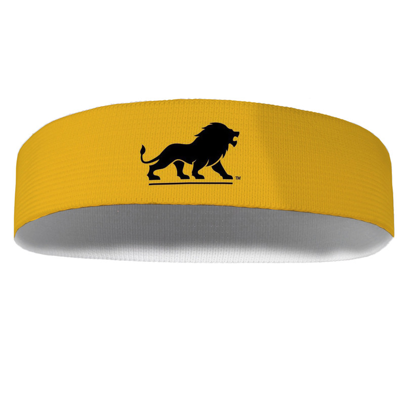 هدبند ورزشی آی تمر مدل شیر کد 320