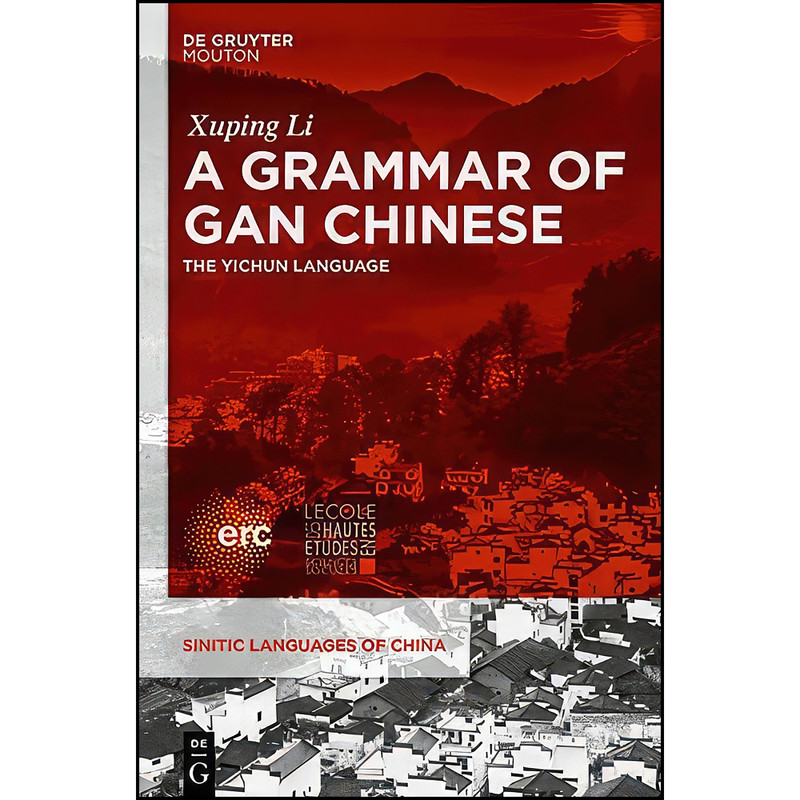 قیمت و خرید کتاب A Grammar of Gan Chinese اثر Xuping Li انتشارات De ...