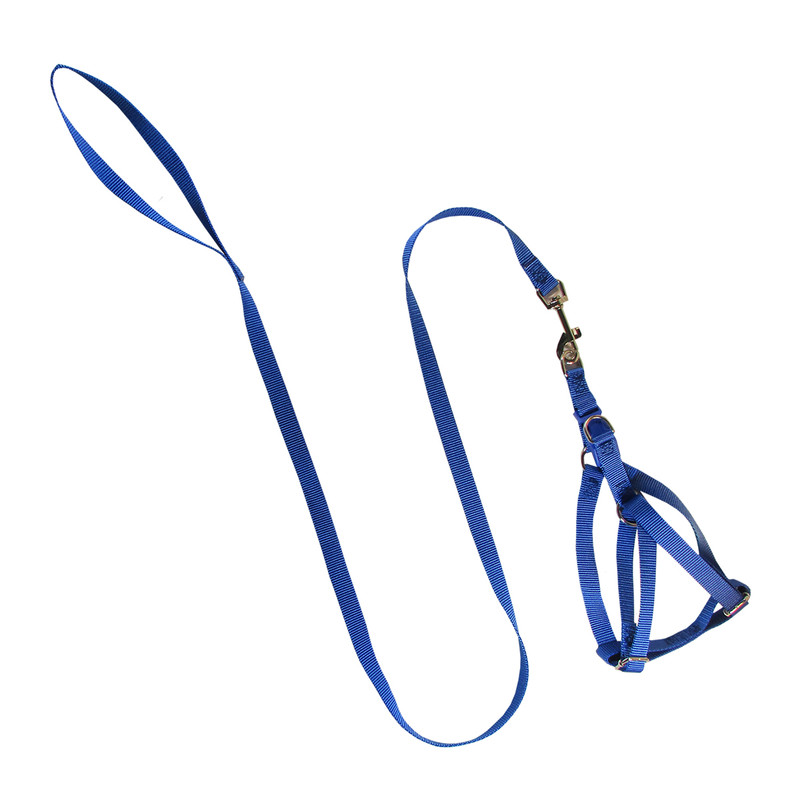 قلاده سگ و گربه کد AB-50