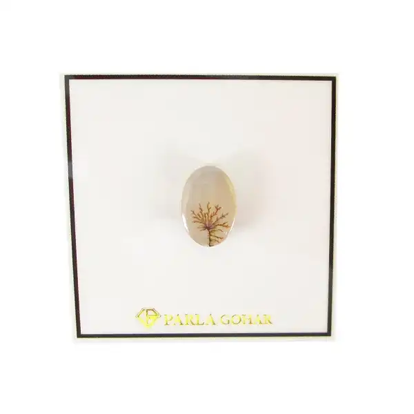 سنگ شجر پارلا گوهر کد 5102