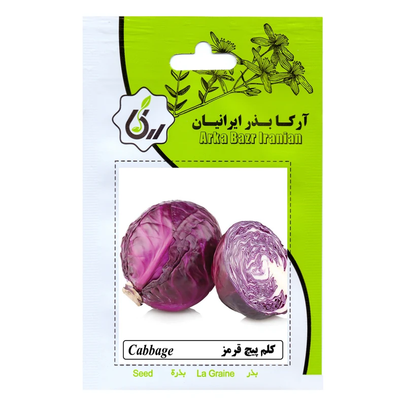 بذر کلم پیچ قرمز آرکا بذر ایرانیان کد ARK-152