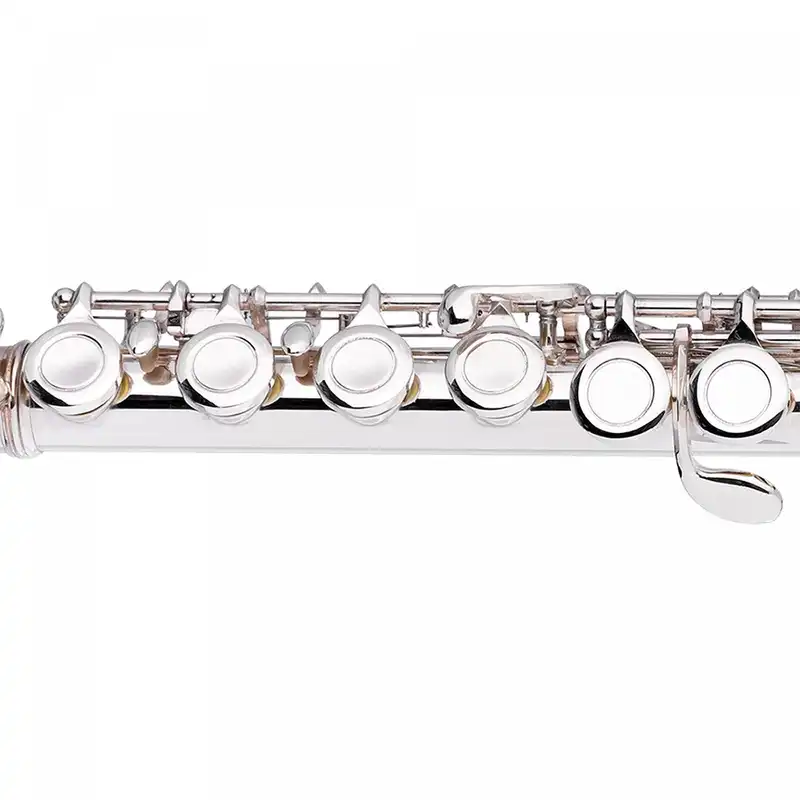 فلوت کلیددار استگ مدل WS-FL111