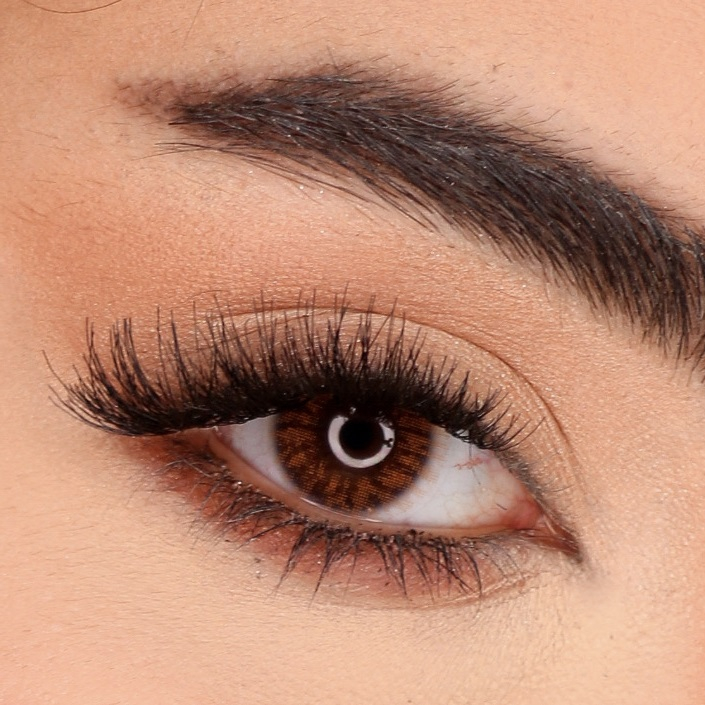 لنز چشم نیو ویژن پرو مدل H1 رنگ عسلی تیره