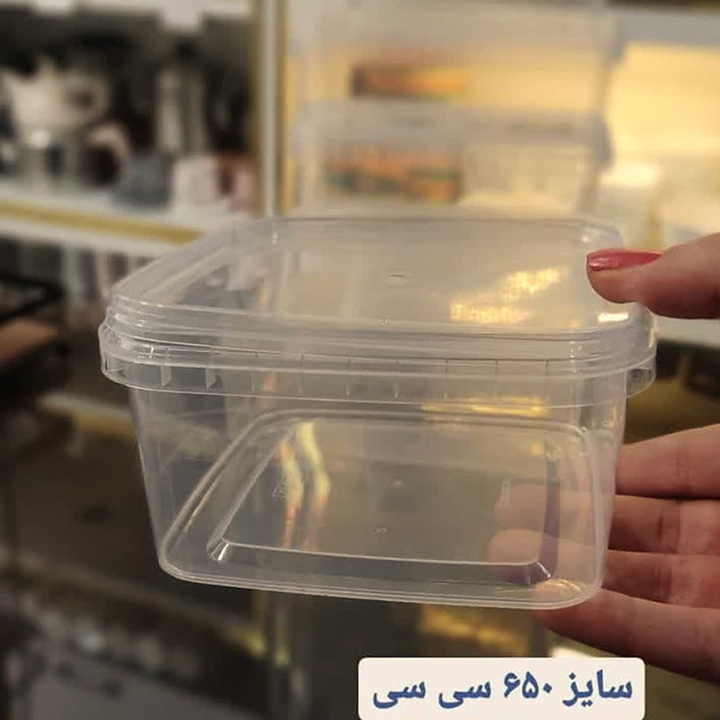 ظرف نگهدارنده مدل فریزری پولاد مربعی بسته 20 عددی