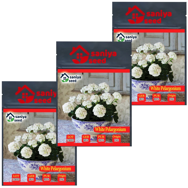 بذر گل شمعدانی سفید سانیا سید مدل S5 مجموعه 3 عددی