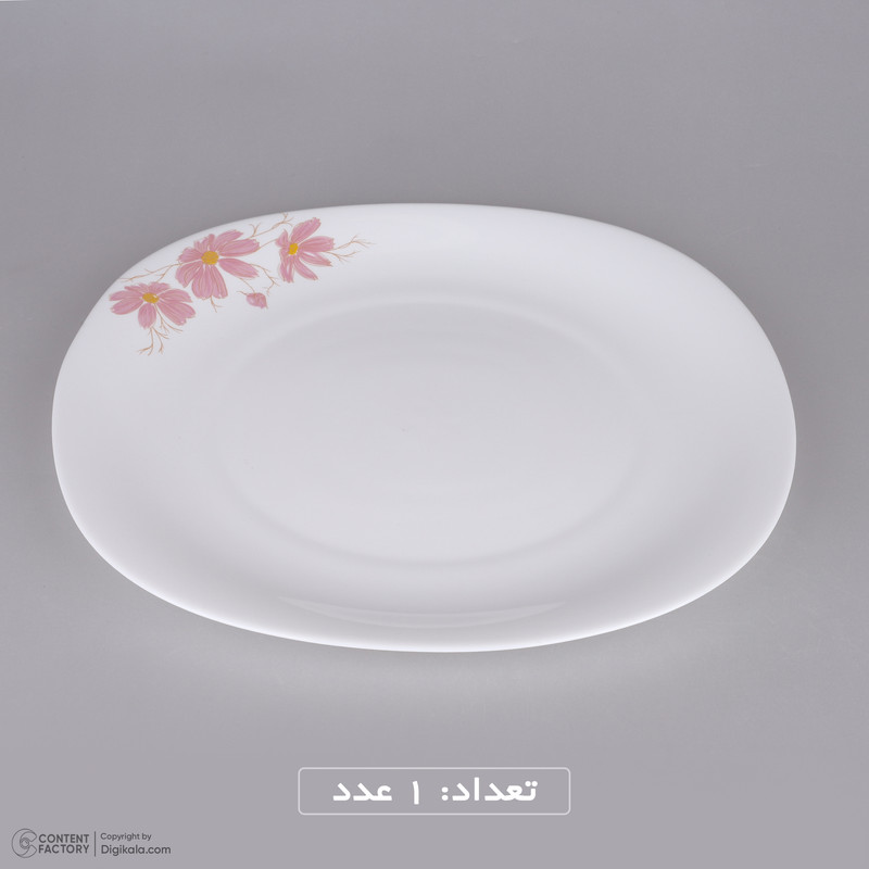سرویس غذاخوری گلدن اوپال 25 پارچه مدل شقایق کد Carine سرویس غذاخوری گلدن اوپال 25 پارچه مدل شقایق کد Carine
