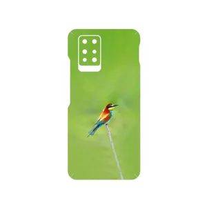 MAHOOT European bee-eater Cover Sticker for Infinix Note 10 Pro