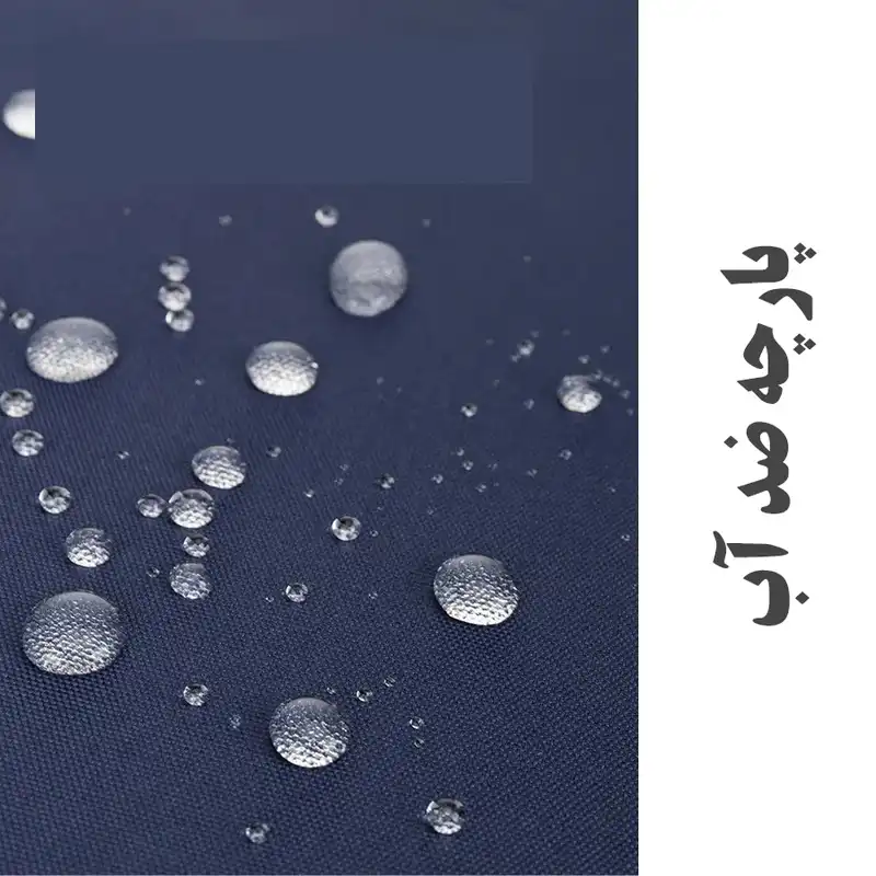 کوله پشتی زنانه مدل پاپیون