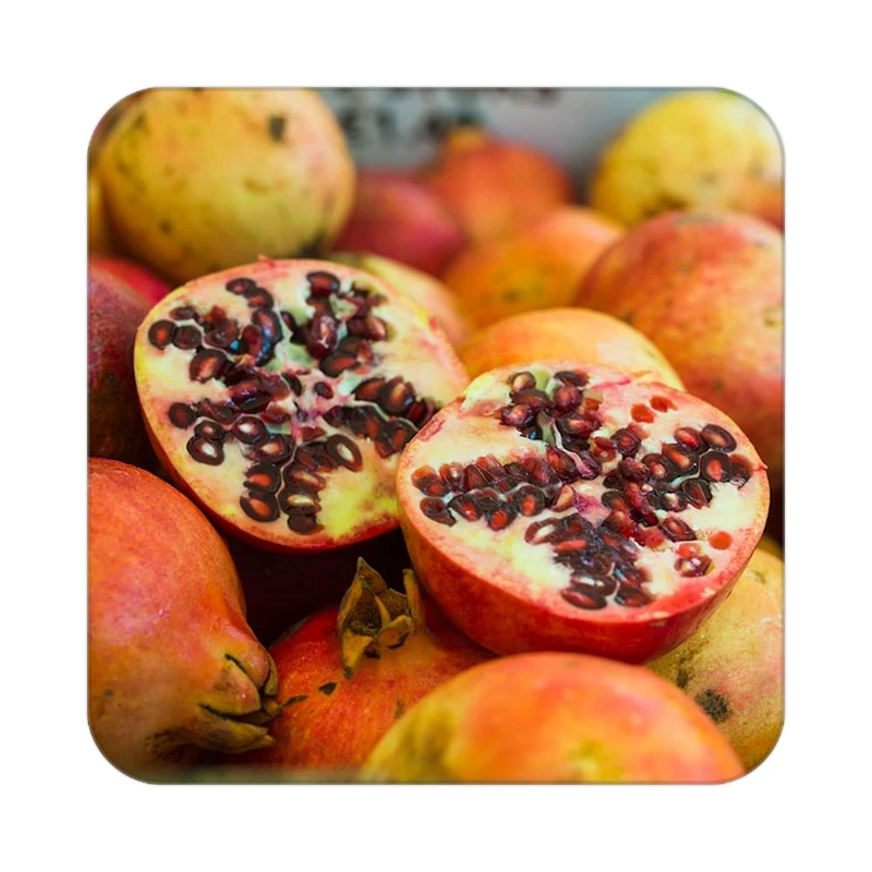 زیر لیوانی کاکتی طرح میوه مدل mp21108