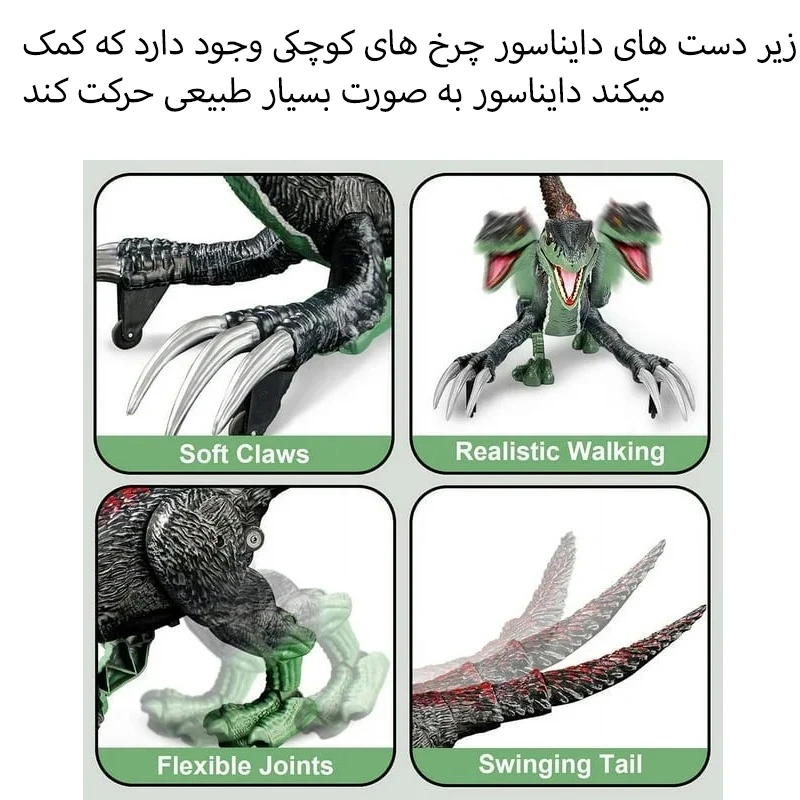 عکس شماره 4