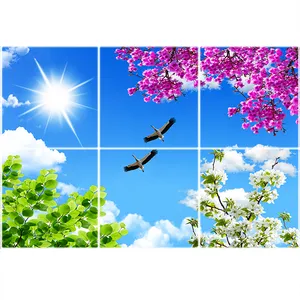 تایل سقفی آسمان مجازی طرح آسمان و خورشید و گل کد ST 2414-6 سایز 60x60 سانتی متر مجموعه 6 عددی
