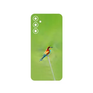 MAHOOT European bee-eater Cover Sticker for Samsung Galaxy A34