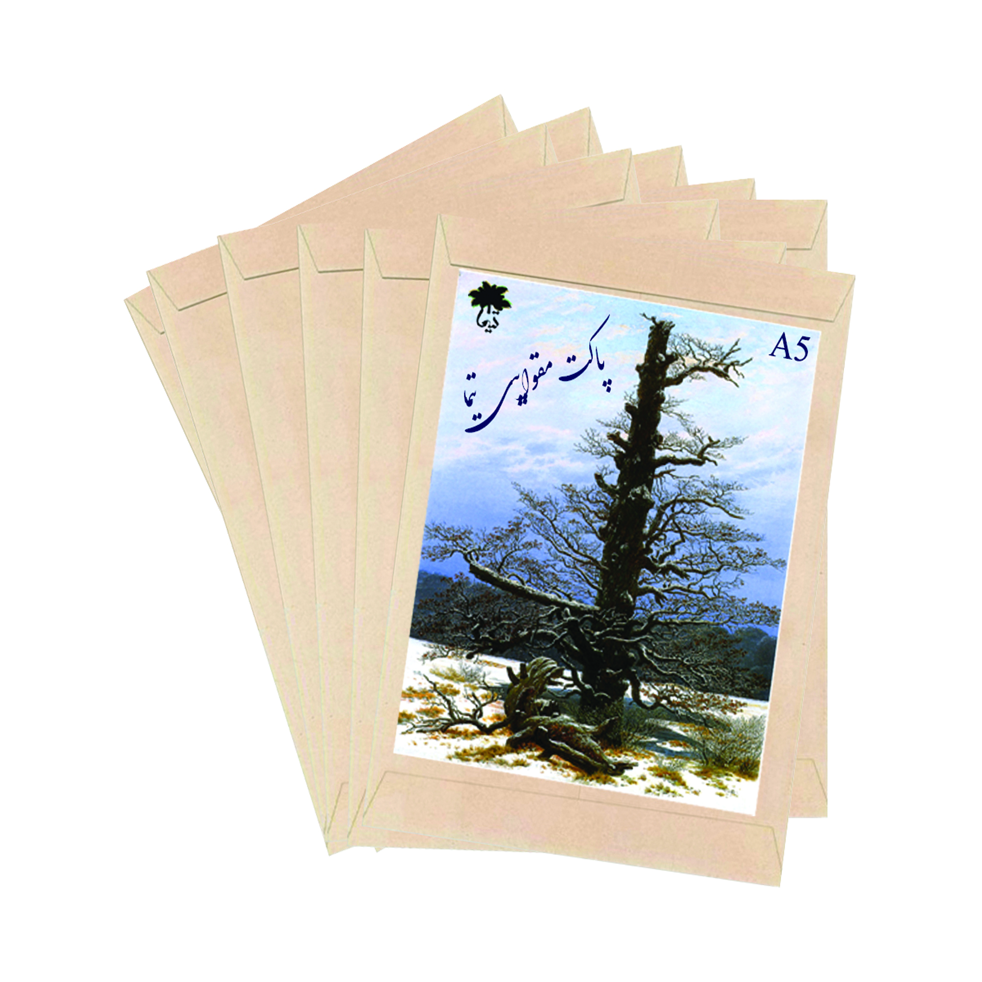 پاکت تیما مدل Pulp-x بسته 10 عددی