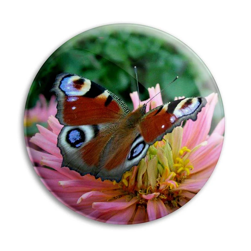مگنت پرمانه طرح پروانه کد pmag.22136