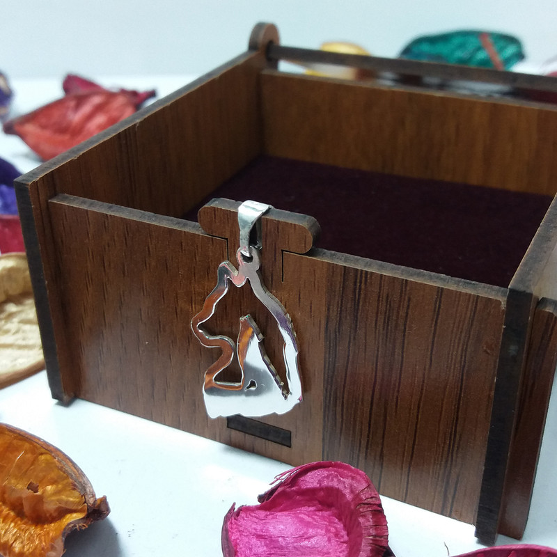 آویز گردنبند نقره مدل گرگ تو در تو