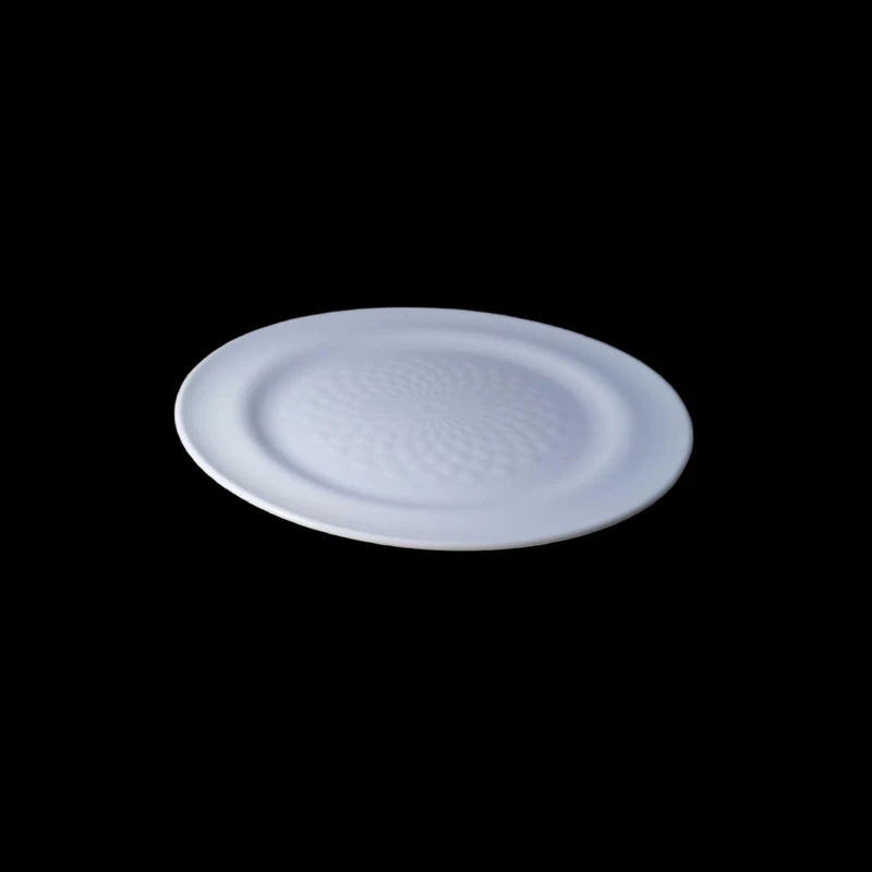 دیس مدل راشین 