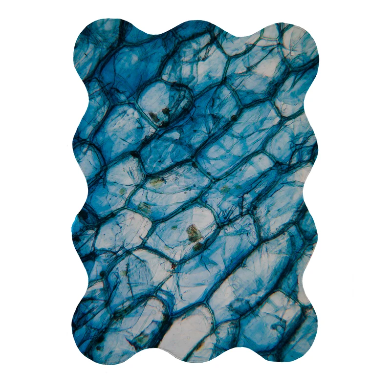 پادری مدل دالبر طرح آبرنگی کد 9175 سایز 80x110 سانتی متر 