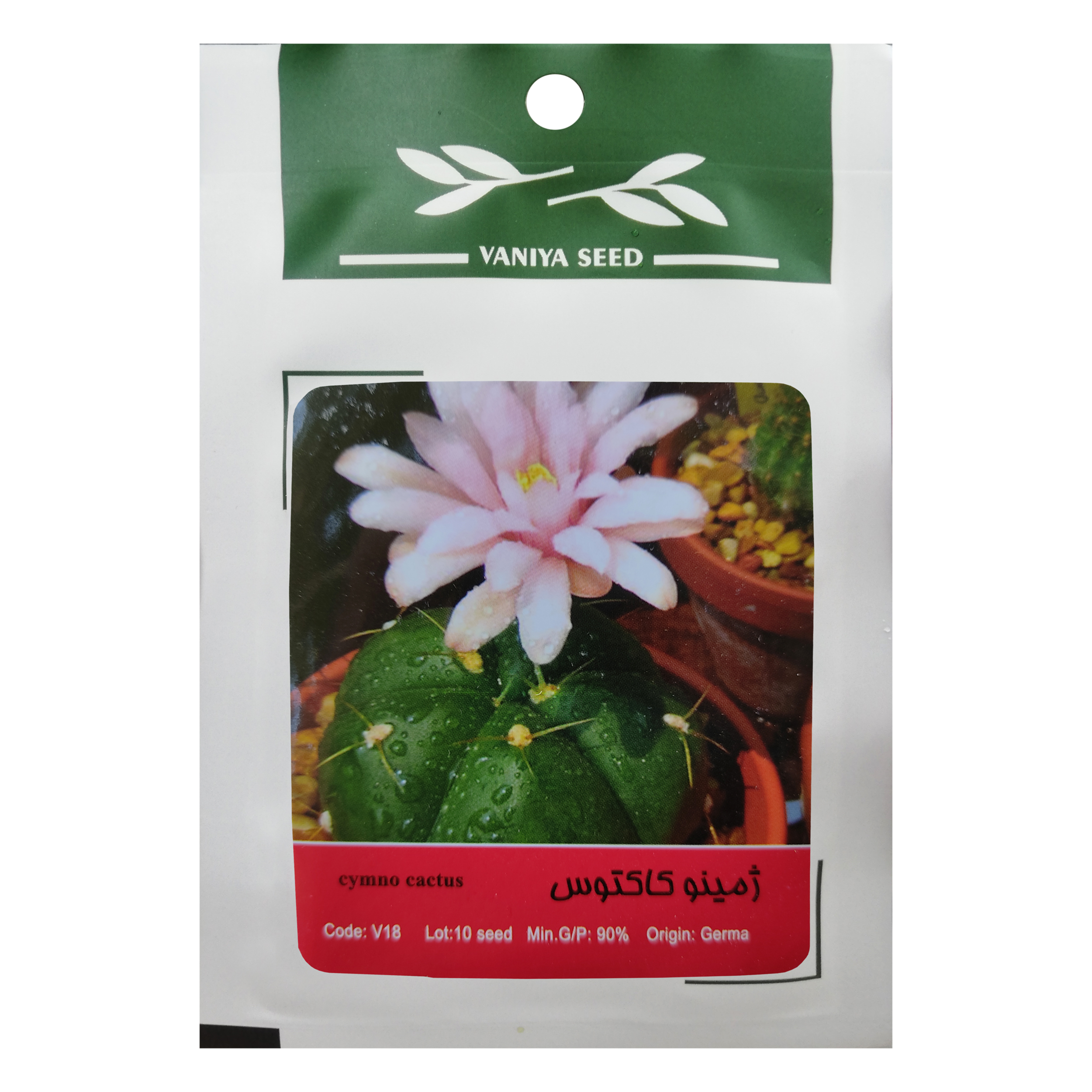بذر کاکتوس ژمینو وانیا سید مدل V18