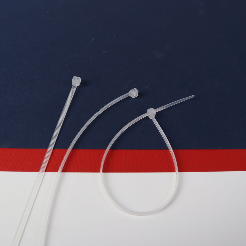 بست کمربندی بروکس مدل BIG9513 کد 25cm بسته 100 عددی بست کمربندی بروکس مدل BIG9513 کد 25cm بسته 100 عددی