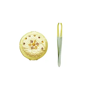 موچین دلگان مدل SS-G17 به همراه آینه دلگان مدل 308-1
