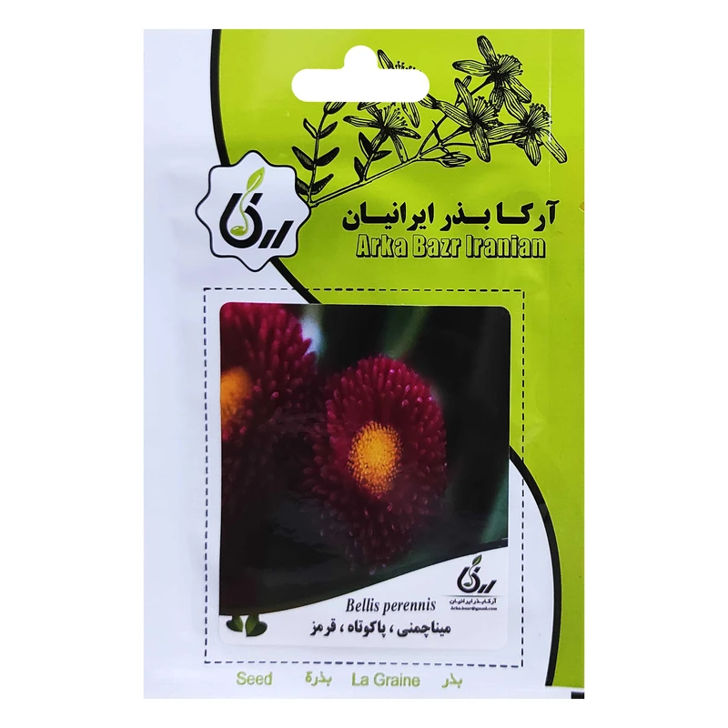 بذر گل مینا چمنی پا کوتاه قرمز آرکا بذر ایرانیان کد ARK-005 
