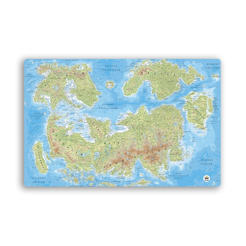 ماوس پد مخصوص بازی شادیت مدل نقشه کد303 سایز 37*24 سانتی متر