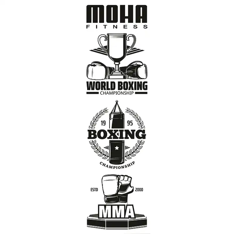 کیسه بوکس موها فیتنس مدل  TWD-6003-100S